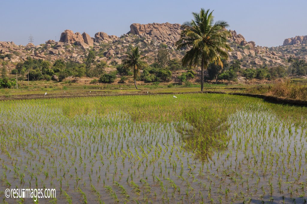 IN_2018_311.jpg - Sanapur