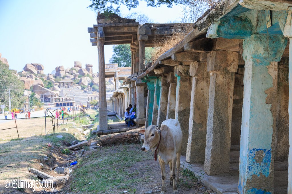 IN_2018_318.jpg - Hampi