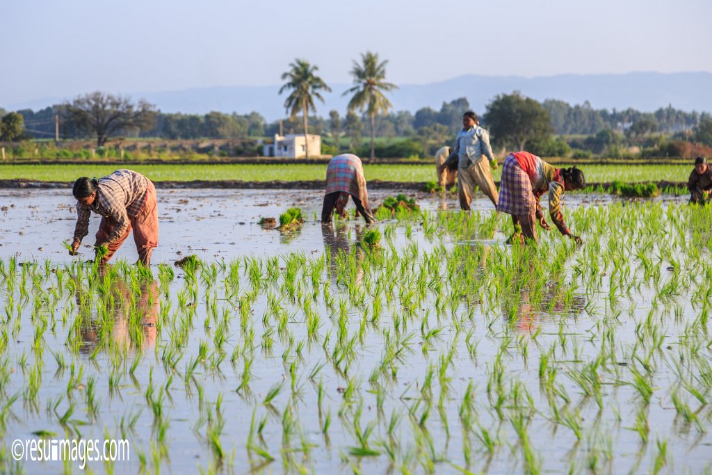 IN_2018_401.jpg - Attivatti