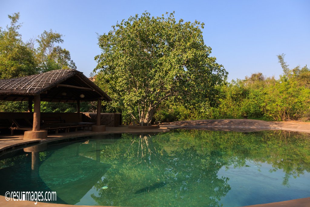 IN_2018_421.jpg - Rajarampet