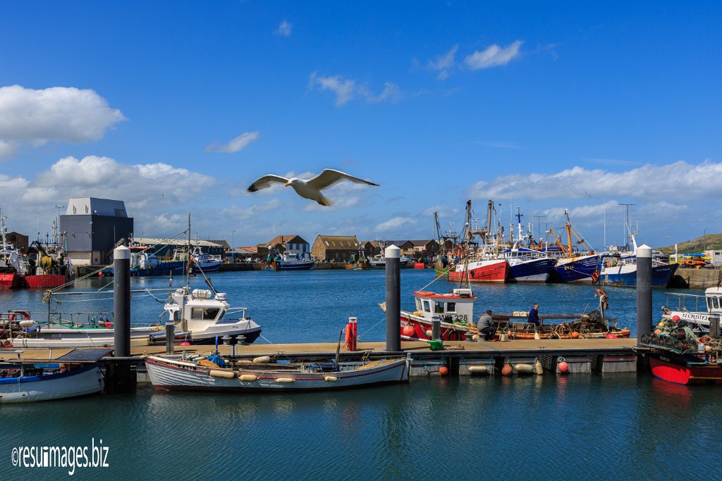 WAW_045.jpg - Irish Coastline