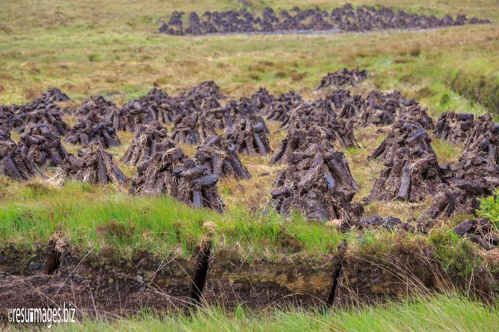 WAW_054.jpg - Wild Atlantic Way