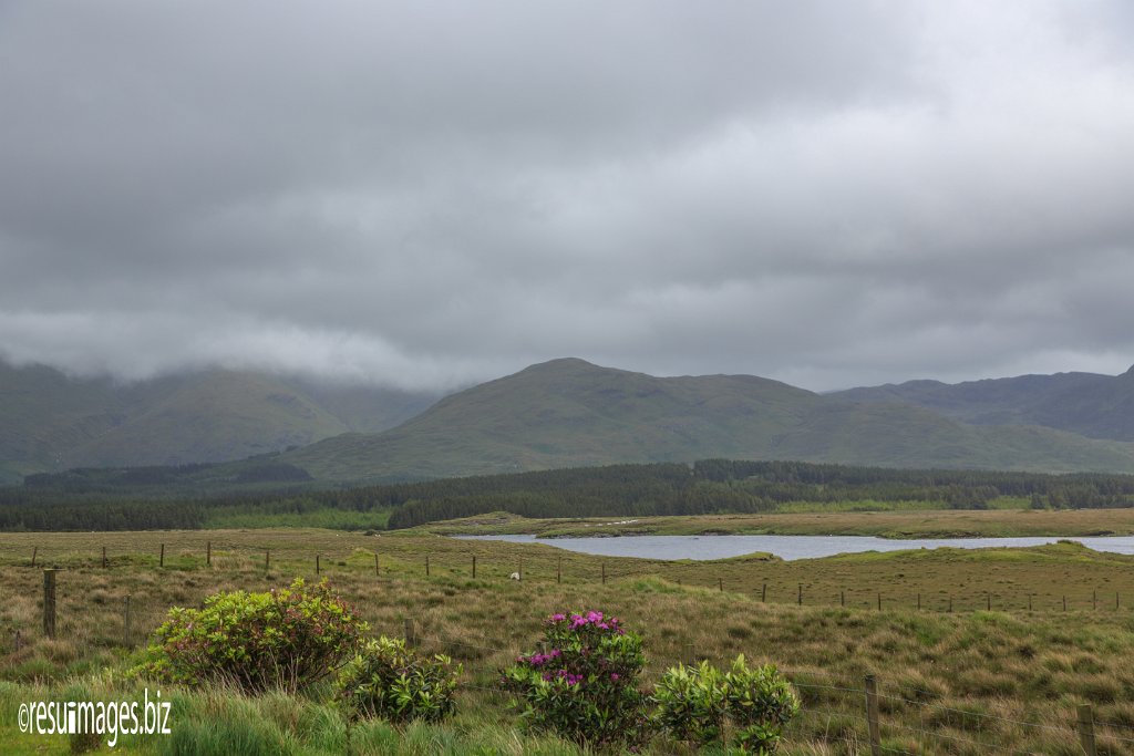 WAW_063.jpg - Wild Atlantic Way