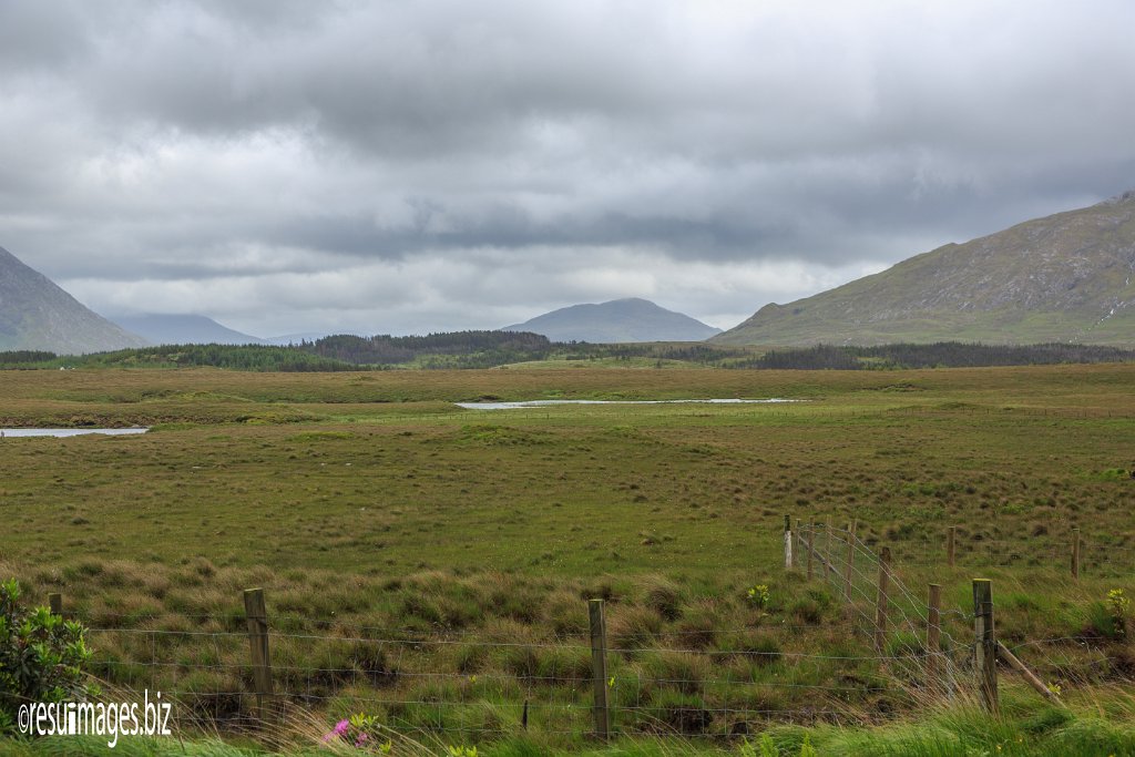 WAW_064.jpg - Wild Atlantic Way