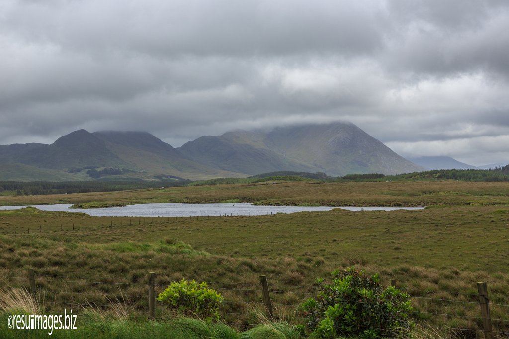 WAW_065.jpg - Wild Atlantic Way