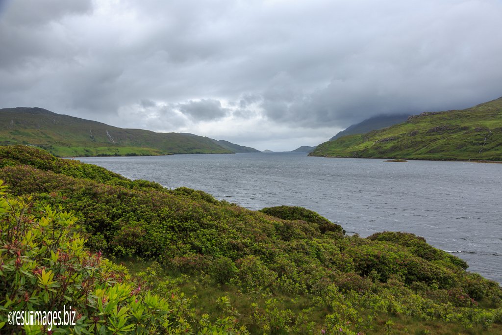 WAW_072.jpg - Wild Atlantic Way