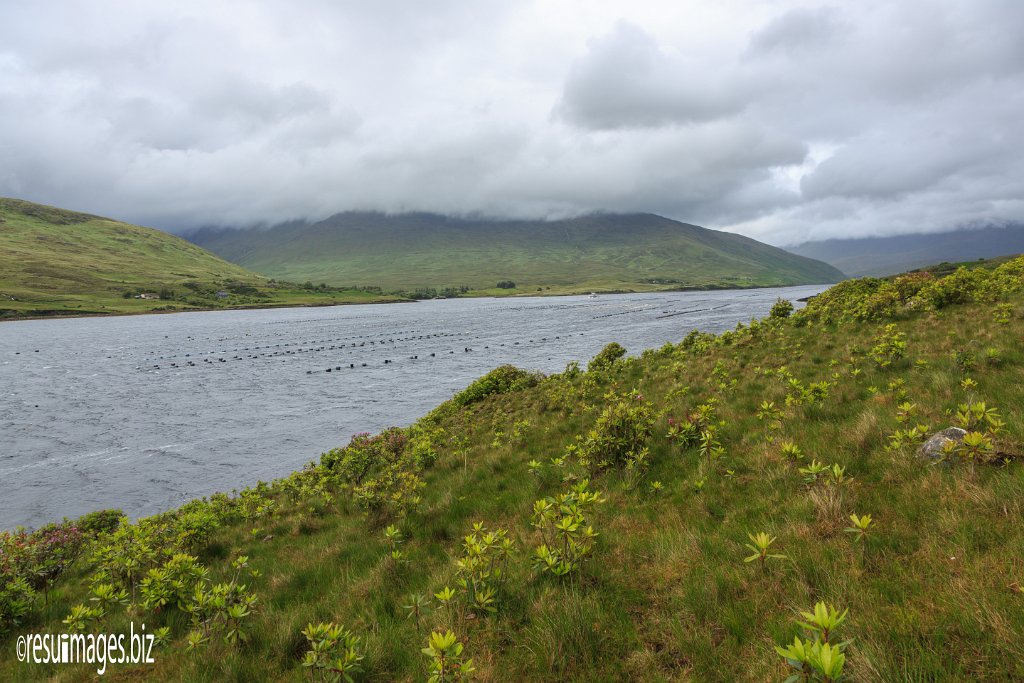 WAW_073.jpg - Wild Atlantic Way