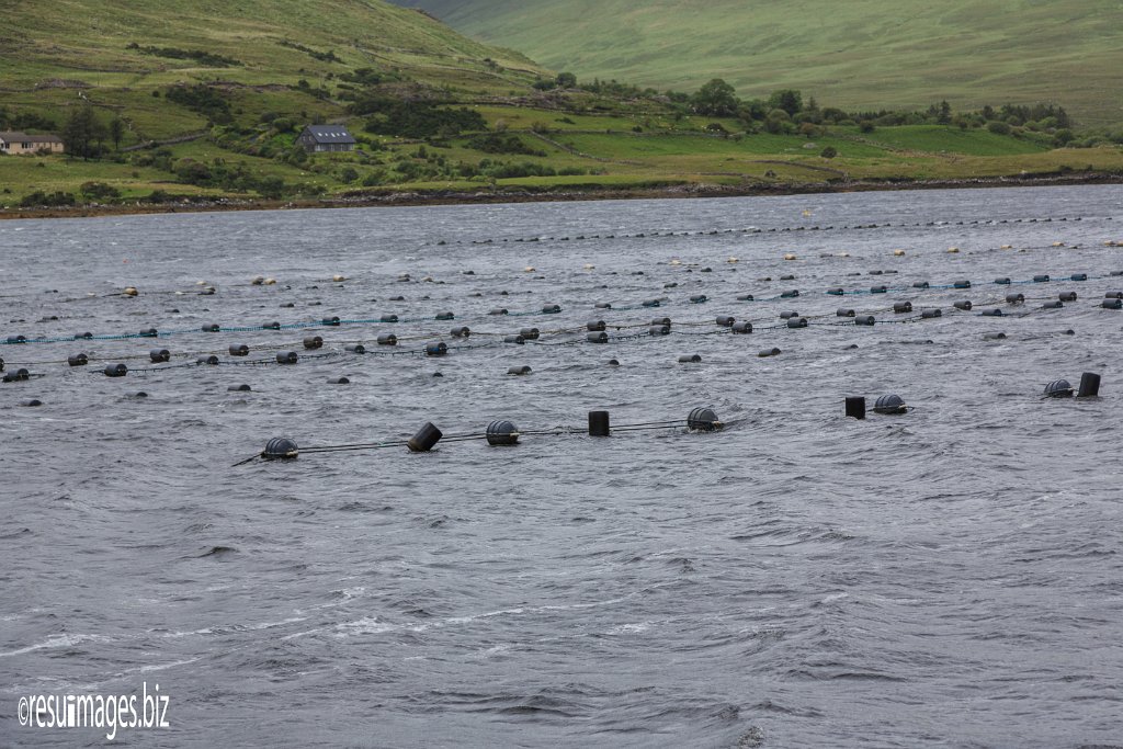 WAW_076.jpg - Wild Atlantic Way