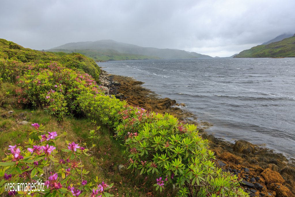 WAW_078.jpg - Wild Atlantic Way