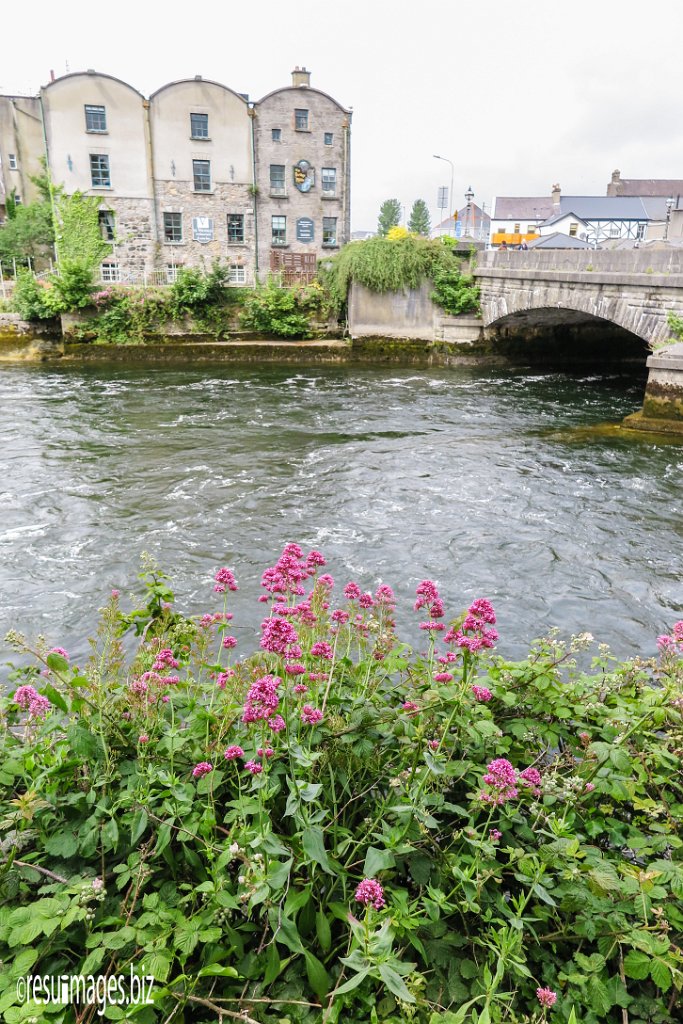 WAW_116.jpg - County Galway
