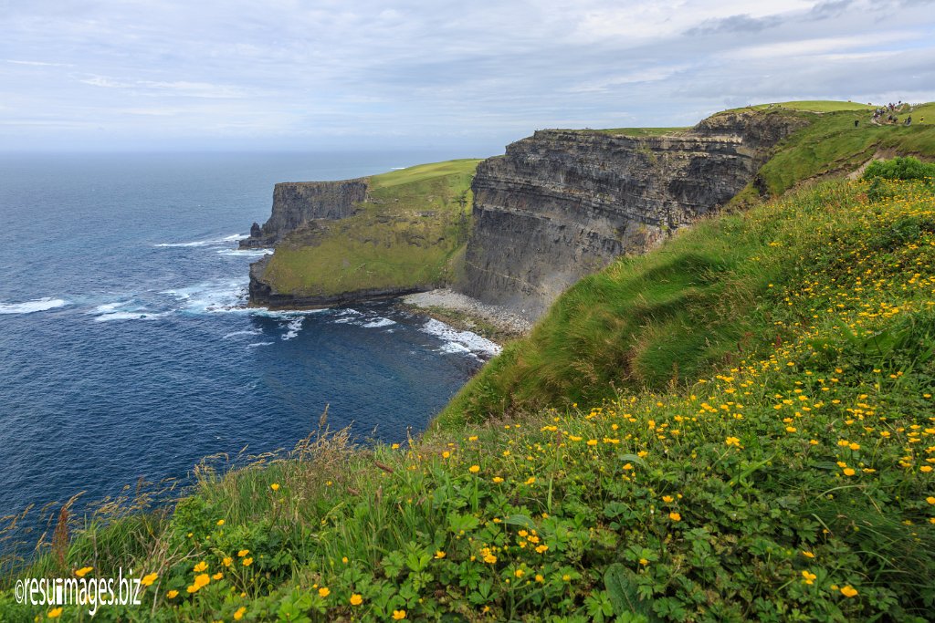 WAW_225.jpg - Wild Atlantic Ways