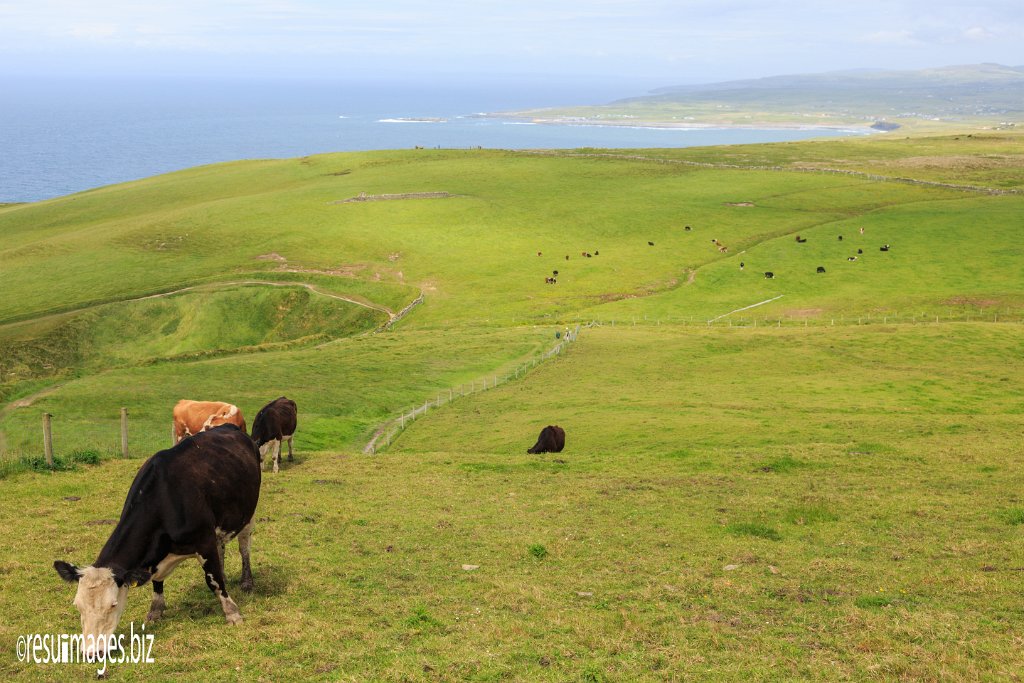 WAW_230.jpg - Wild Atlantic Ways