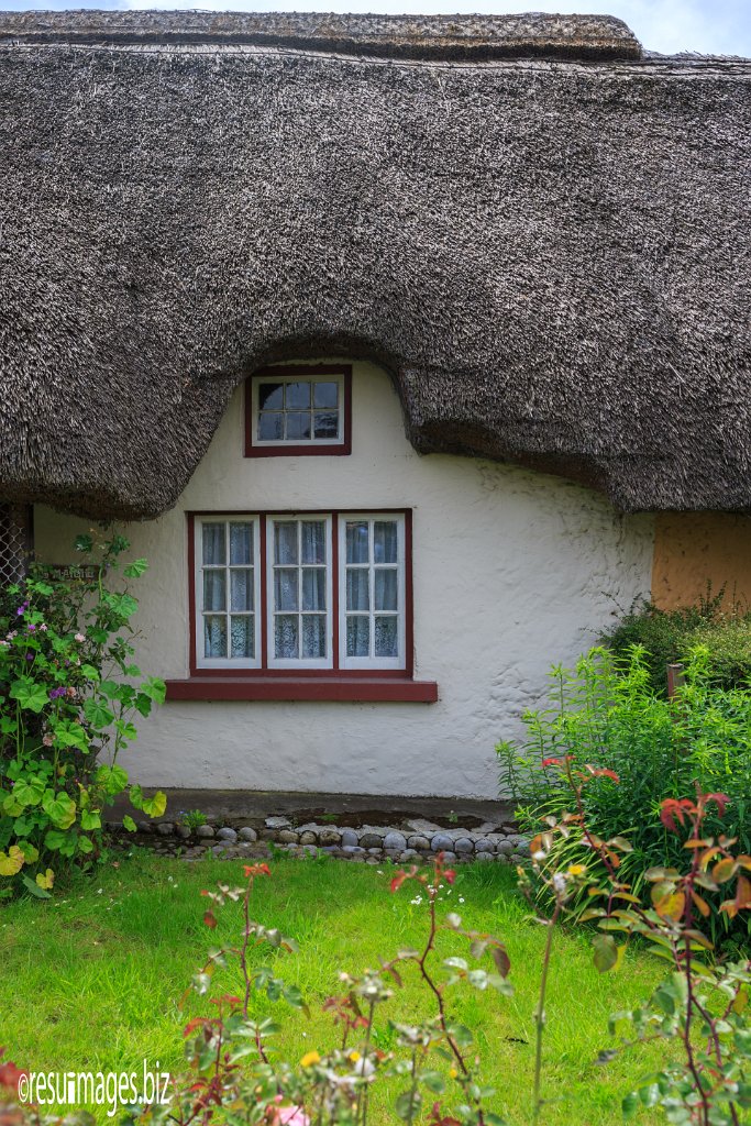 WAW_253.jpg - County Limerick