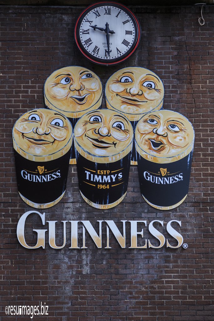 WAW_259.jpg - County Limerick