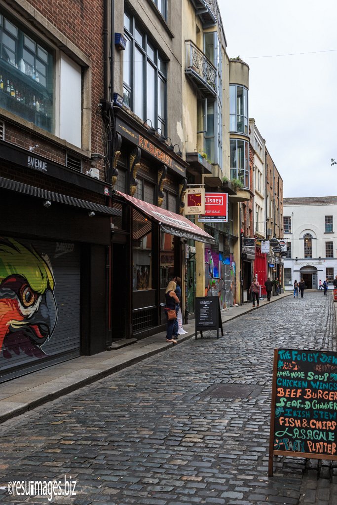WAW_315.jpg - County Dublin