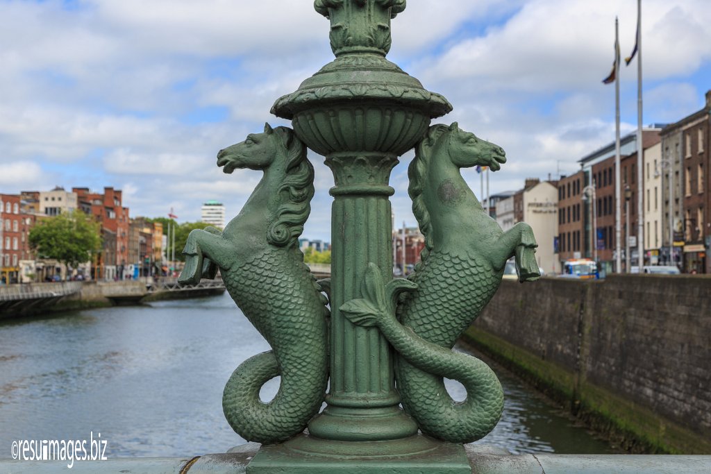 WAW_346.jpg - County Dublin