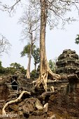 Kambodscha (146)
