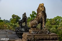 Kambodscha (155)