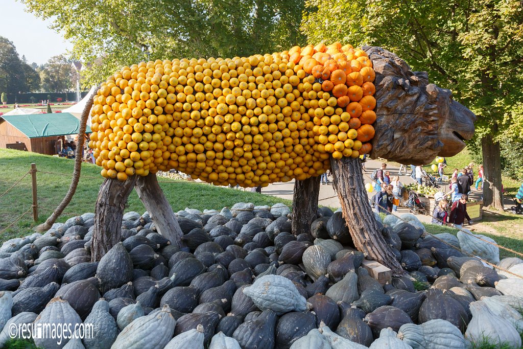 krl_009.jpg - Kuerbisausstellung Ludwigsburg 2014
