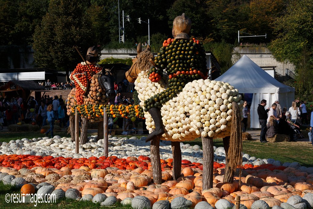 krl_020.jpg - Kuerbisausstellung Ludwigsburg 2014