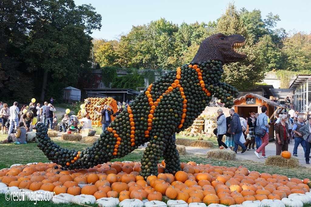 krl_023.jpg - Kuerbisausstellung Ludwigsburg 2014