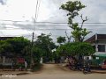 Laos (256)