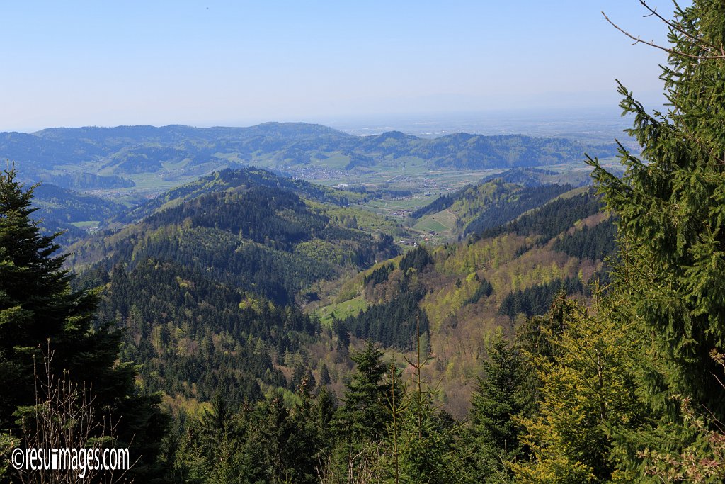 ld_014.jpg - Mooskopf