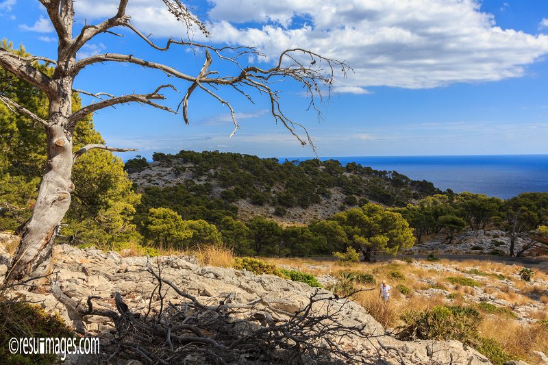 ma_097.jpg - Mallorca 2016