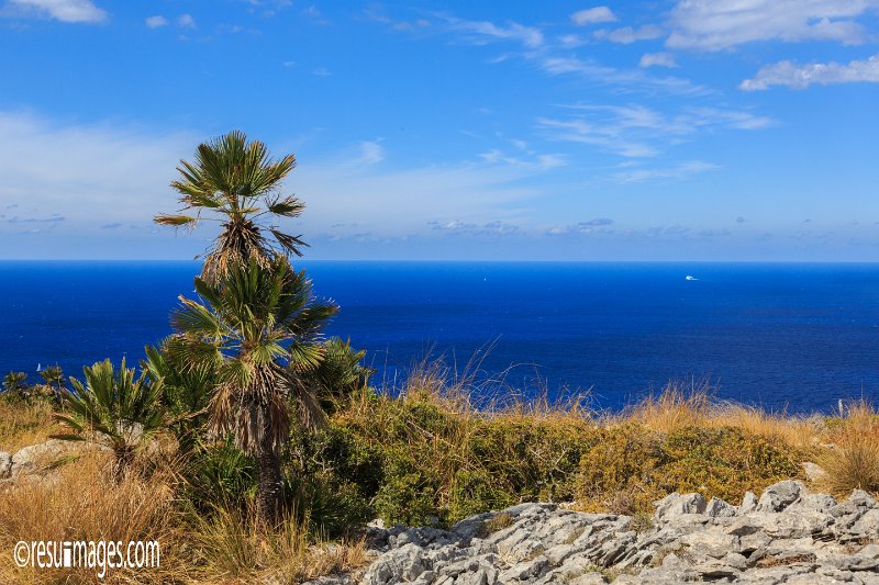 ma_101.jpg - Mallorca 2016