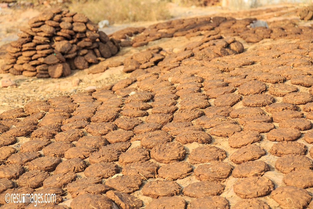 RJ_1337.jpg - Chittaurgarh, Rajasthan