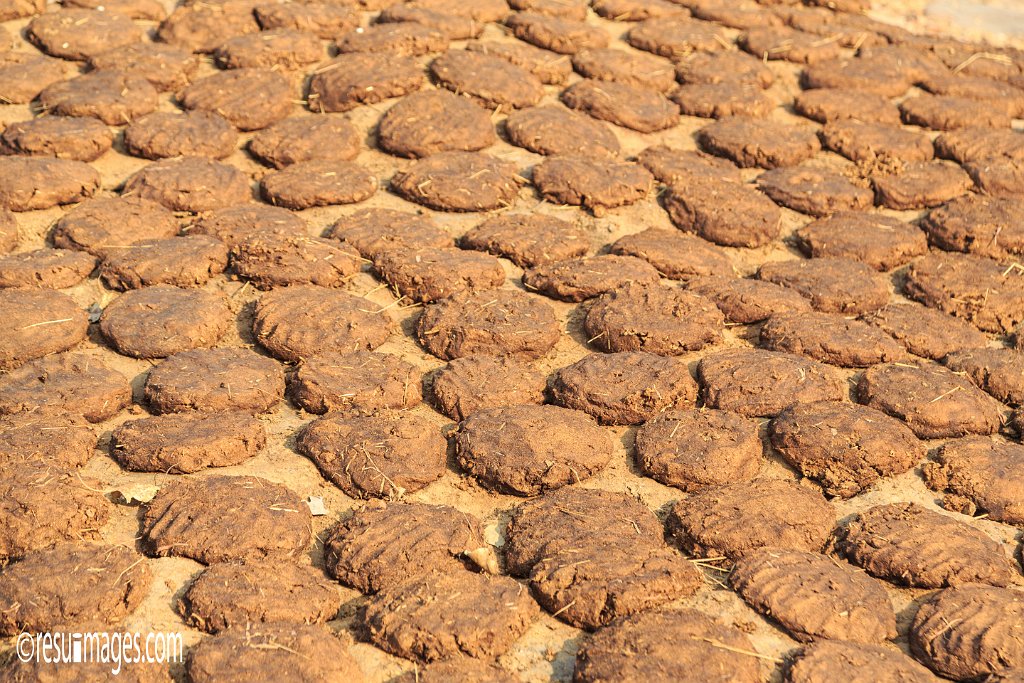 RJ_1338.jpg - Chittaurgarh, Rajasthan