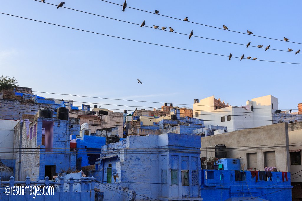 RJ_792.jpg - Jodhpur, Rajasthan