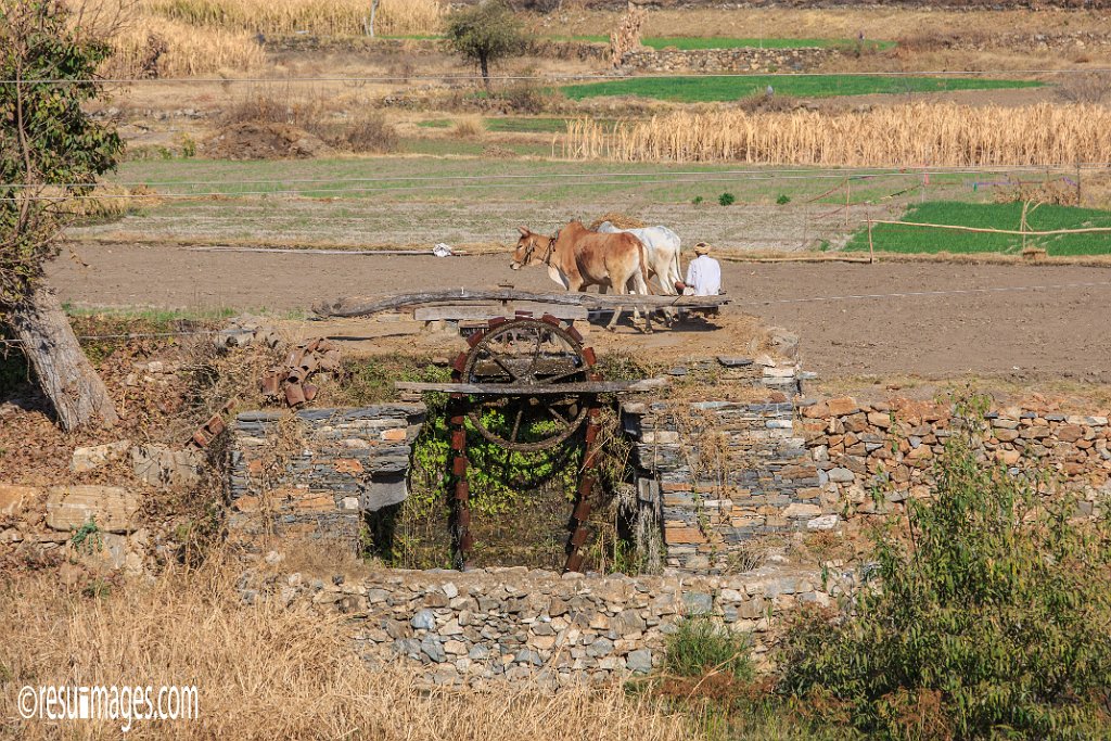 RJ_975.jpg - Kamba, Rajasthan