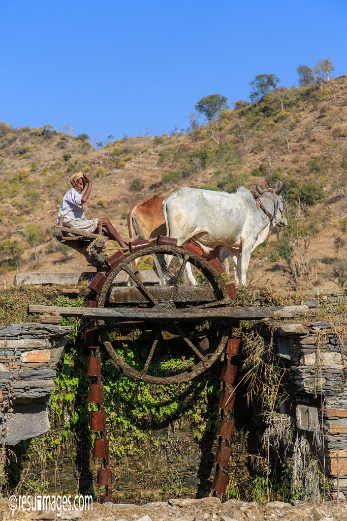 RJ_976.jpg - Kamba, Rajasthan