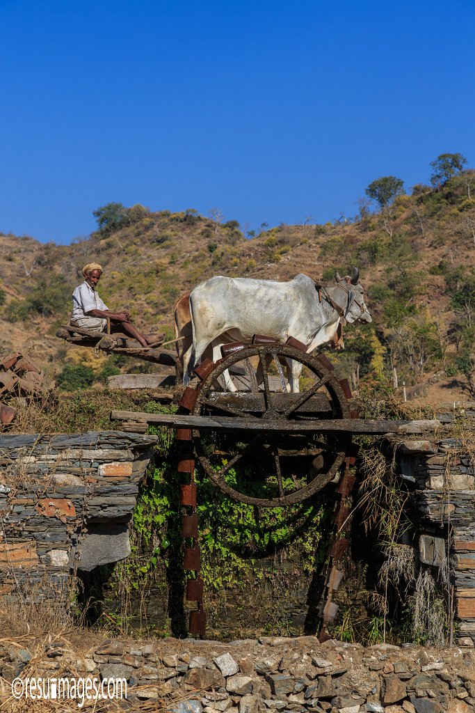 RJ_978.jpg - Kamba, Rajasthan