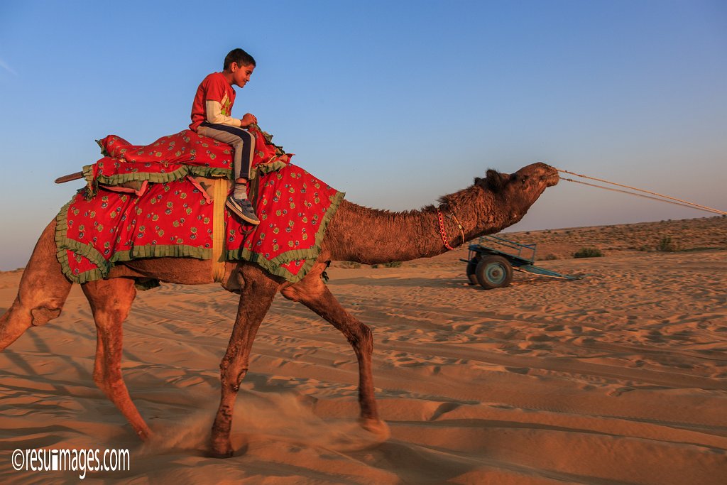 RJ_324.jpg - Kanoi, Rajasthan