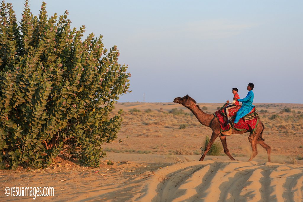 RJ_329.jpg - Kanoi, Rajasthan