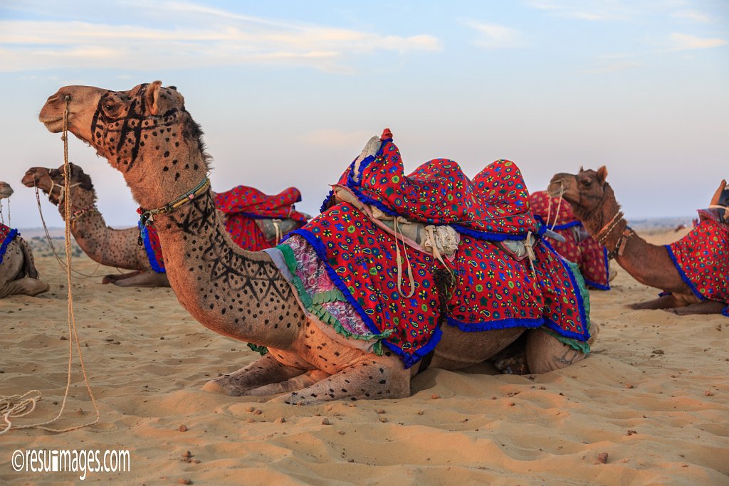 RJ_339.jpg - Kanoi, Rajasthan