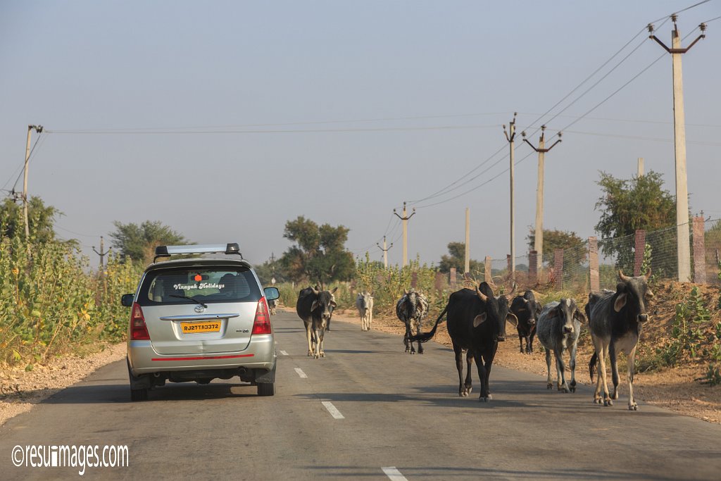 RJ_488.jpg - Sri Lachhamannag, Rajasthan