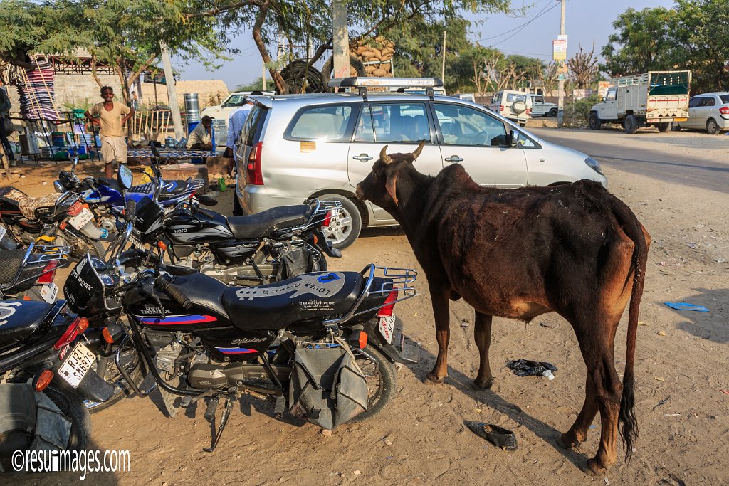 RJ_490.jpg - Sri Lachhamannag, Rajasthan