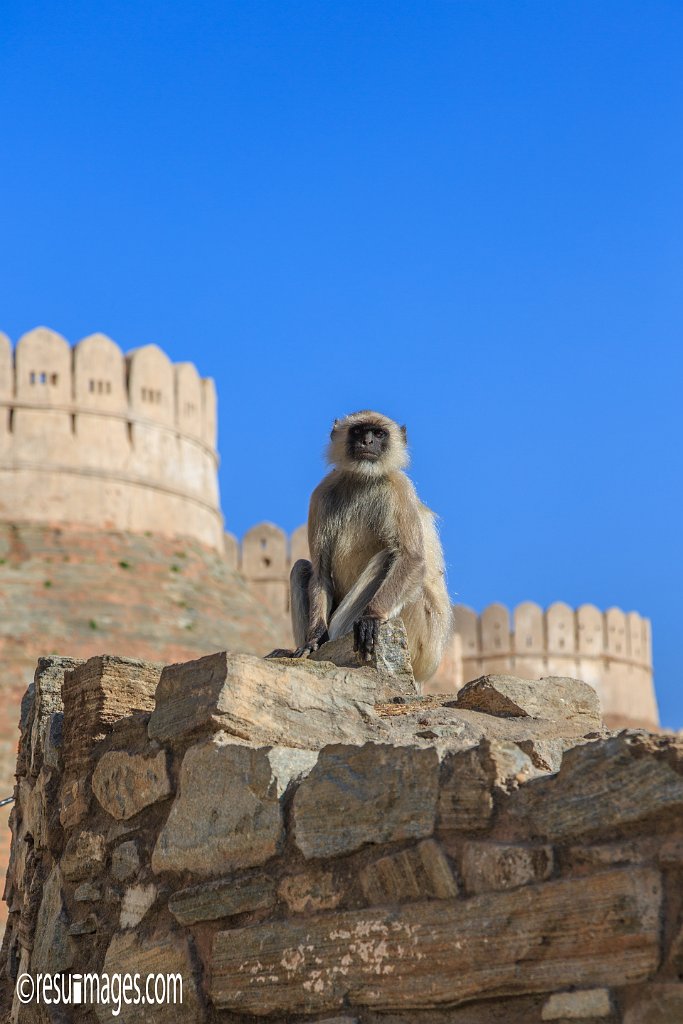 RJ_981.jpg - Kumbhalgarh, Rajasthan