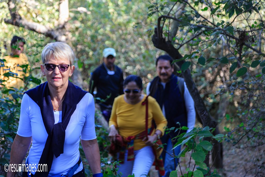 RJ_1492.jpg - Mount Abu, Rajasthan