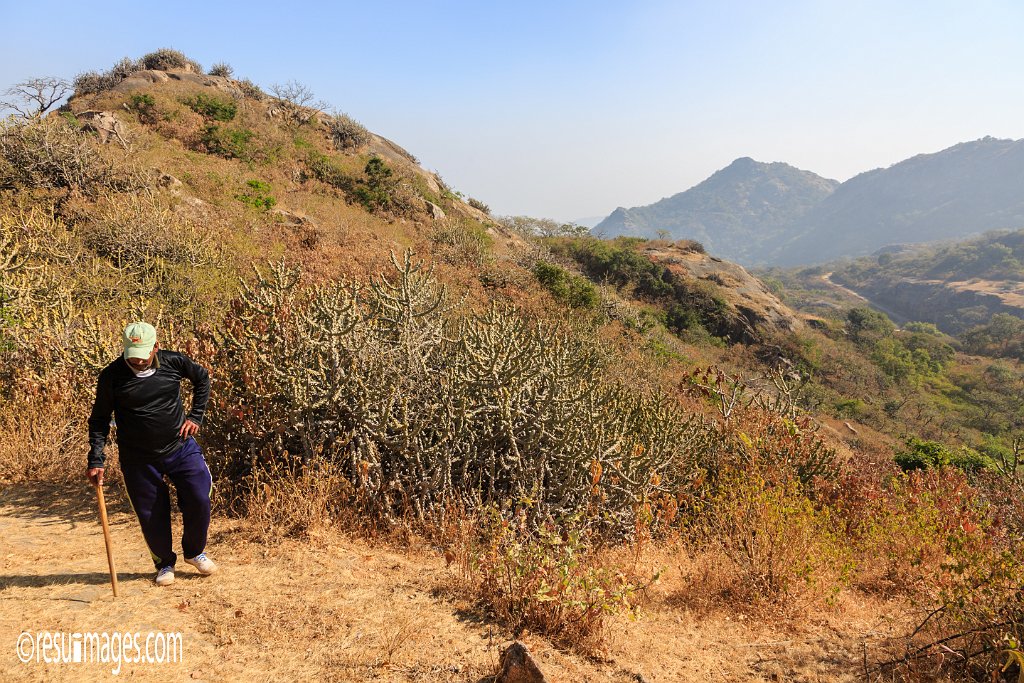 RJ_1495.jpg - Mount Abu, Rajasthan
