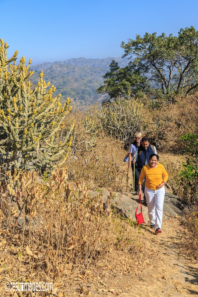 RJ_1496.jpg - Mount Abu, Rajasthan