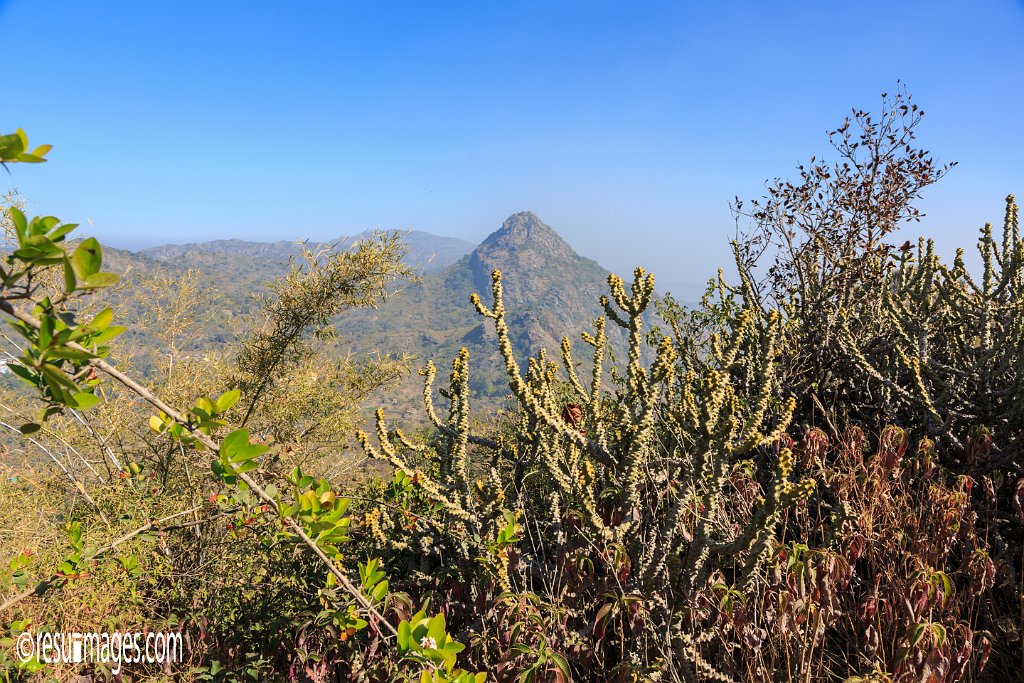 RJ_1498.jpg - Mount Abu, Rajasthan