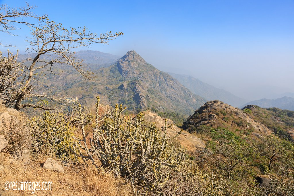 RJ_1505.jpg - Mount Abu, Rajasthan