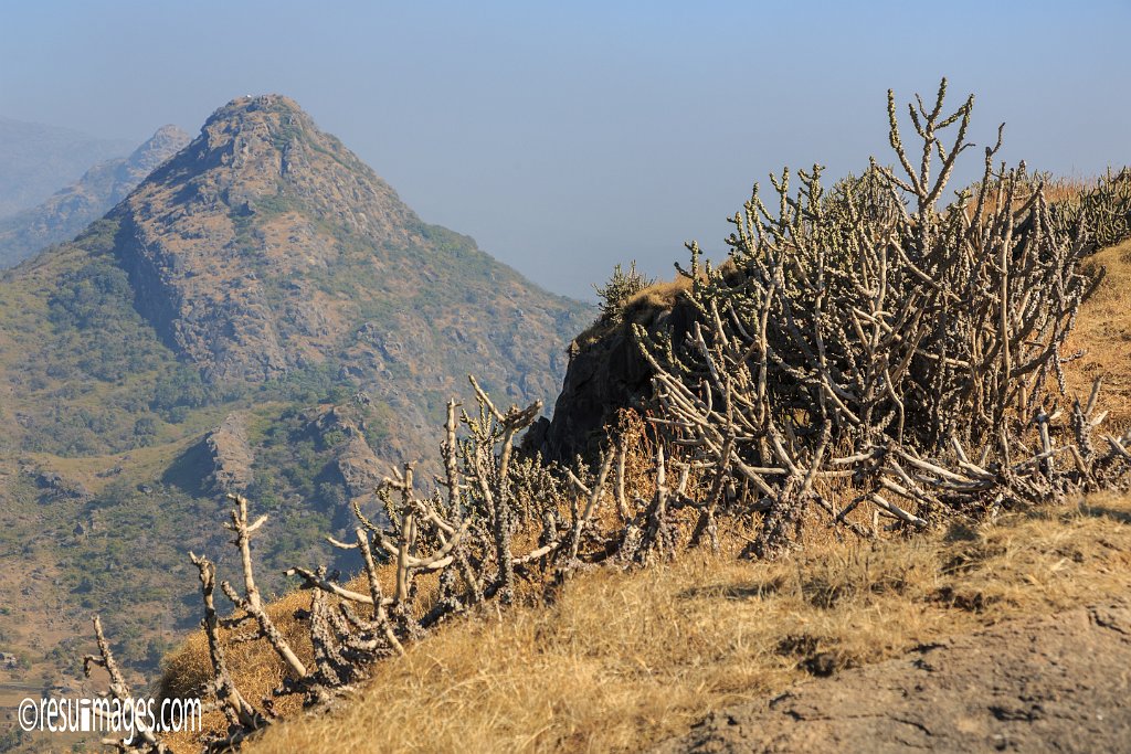 RJ_1513.jpg - Mount Abu, Rajasthan
