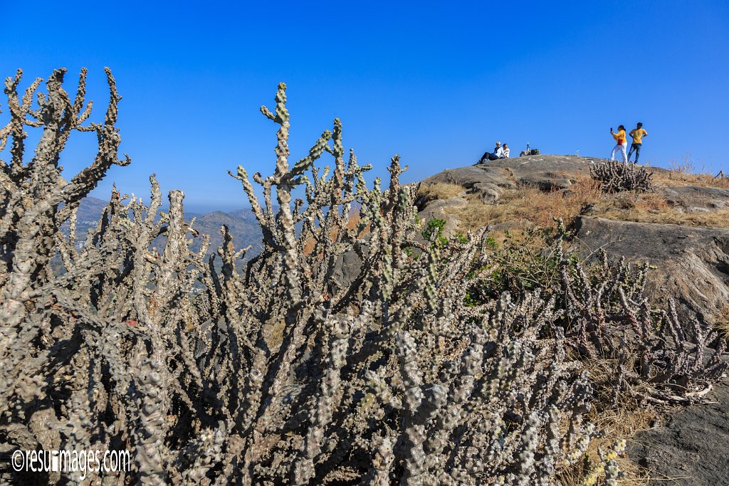 RJ_1525.jpg - Mount Abu, Rajasthan