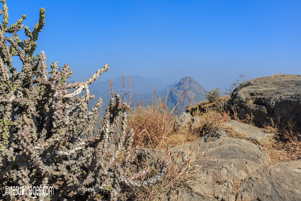 RJ_1538.jpg - Mount Abu, Rajasthan