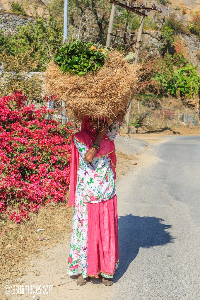RJ_1564.jpg - Mount Abu, Rajasthan